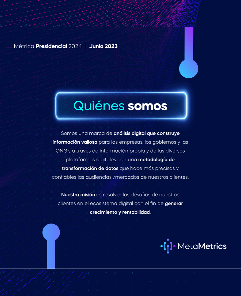web metametrics-02