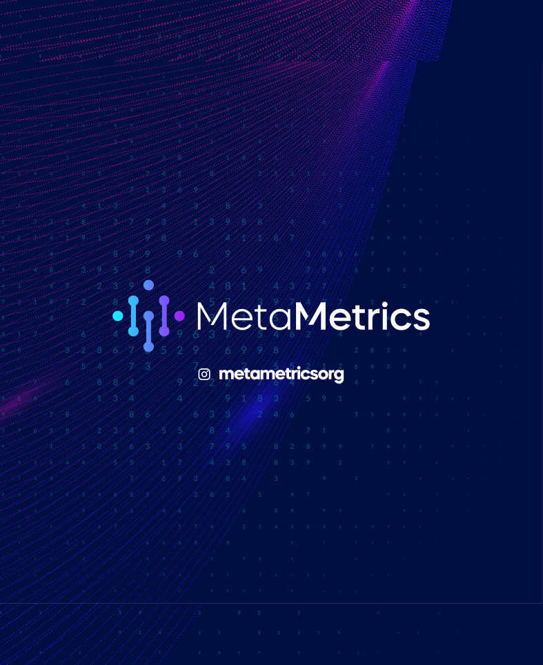 web metametrics-08